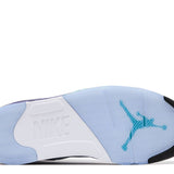 Air Jordan 5 Retro "Grape" 2025