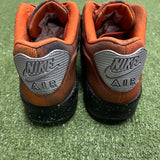 [PREOWNED] Size 8.5 Nike Air Max 90 "Mars Landing"