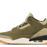 Air Jordan 3 Retro "Family Affair"